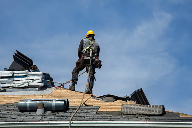 Professional Storm Damage Roof Repair technician working in Dunnellon, FL